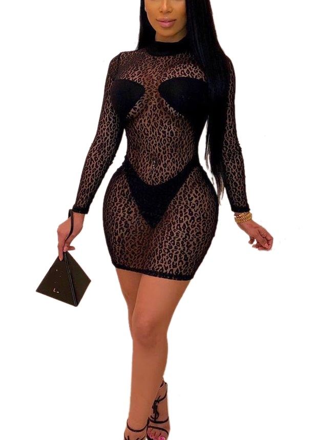 transparent bodycon dress