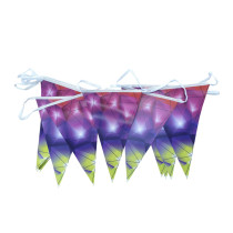 Bunting &Pennants with Custom Graphics