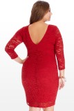 Plus Size Long Sleeve Lace Bodycon Dress 283