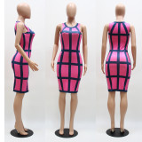 Women Plus Stripe Print Sleeveless Bodycon Dress Rose 2047