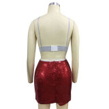 Sequin Two Piece Skirt Set 9141