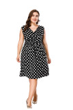 Plus Size Polka Dot Swing Dress 0025