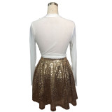 Sequin A Line Skirt 9012