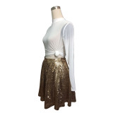 Sequin A Line Skirt 9012