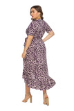 Leopard Print Plus Size Dress 0116