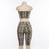 Snake Print Two Piece Crop Top Outfits 1732778