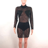 Mesh Lace Dress With Panty 3280