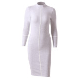 Bodycon Long Sleeve Dress 8226