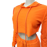 Crop Tracksuit Set With Hood 3276