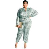 Dressy Jumpsuit Plus Size And Rompers Women 19376