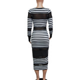 Mesh Insert Striped Bodycon Midi Dress 2476