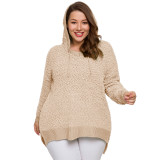 Plus Size Sweater Hoodie 3176