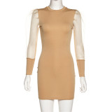 Sheer Puff Sleeve Mini Dress 1735577