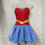 Super Women Hero Costume 315