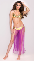 Sexy Arabian Dance Dress Costume 5792