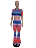 Multi-Color Crop Shirt and Pants