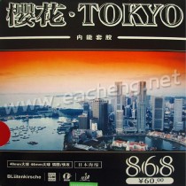 Kokutaku Tokyo 868 Japanese Sponge