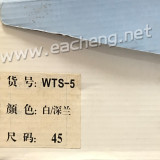 Butterfly WTS-5 Table Tennis Shoes