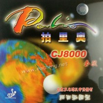 Palio CJ8000 36-38°