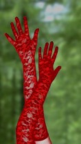 Red Lace Gloves TY026-1