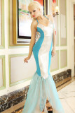 Sea Siren Mermaid Fancy Dress Costume L1287