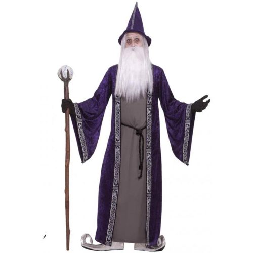 Adult Purple Wizard Costume