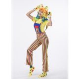 Stripes the Funny Clown Costume