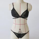 Rose Mesh Embroidery Perspective Bra Lingerie Set