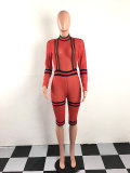 Striped High Neck See Through Mid Jumpsuit