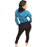 Block Color Sexy Crop Hoody and Pant Set