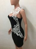 Embroidered Hollow Out Lace Dress