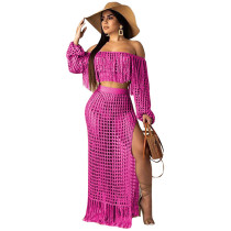 Sexy Hollow-out Tassel Design Two-piece Skirt Set (Cover-up)
