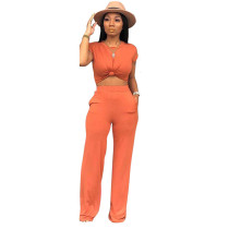 Casual Soild Color Crop Top and Flared Pants