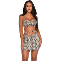 Sexy Pattern Printed Hollow-out Two-piece Skirt Set