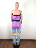 Casual Strapless Tube Jumpsuit