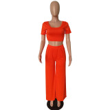 Casual Solid Color Crop Top and Pants