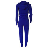 Casual Hooded Zipper Sports Two-piece Outfits