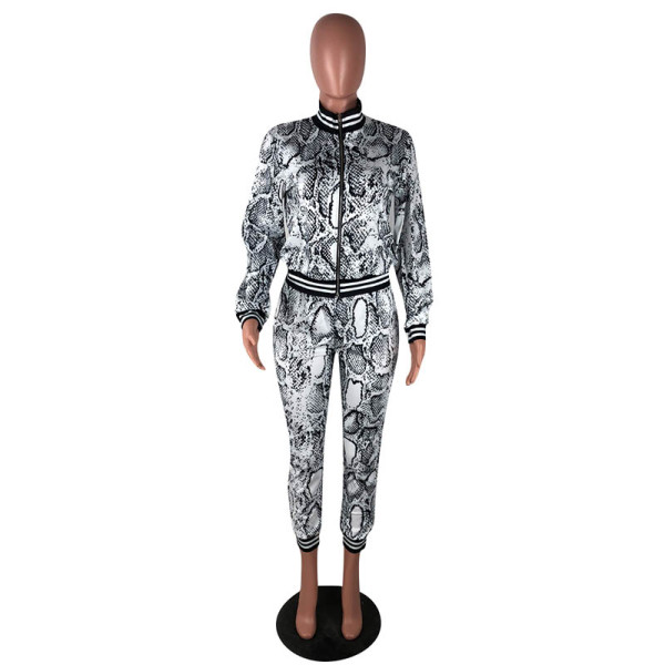 snake print high waisted pants