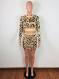 Casual Leopard Print Skirt Set