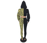 Casual Lantern Sleeve Leopard Stitching Print Two Piece Outfits