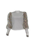 Mesh Sequin Sleeves Pullover