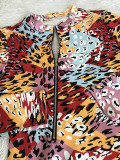 Casual Leopard Print Mid Dress