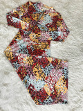 Casual Leopard Print Mid Dress