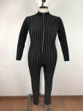 Plus Size Net Woven Flocked Striped Jumpsuit