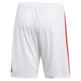 Russia FIFA World Cup 2018 Home Shorts Men's