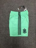 Spain FIFA World Cup 2018 Goalkeeper Green Shorts Men's