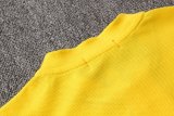Brazil FIFA World Cup 2018 Polo + Pants Training Suit Yellow