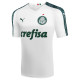 Palmeiras SP Away Jersey Mens 2019/20