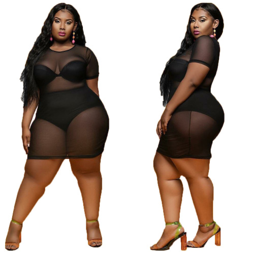 Black mesh plus size dress(Not include bra and panty)