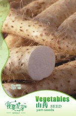 1 Original Pack, 6 seeds /pack, Chinese Yam Vegetable Seeds, Herbs Dioscorea Opposita #NF012